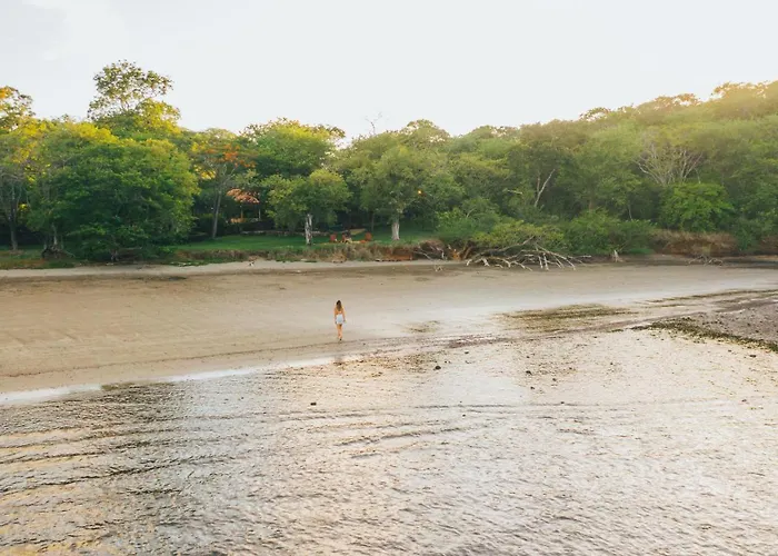Hotel Papagayo Golden Palms Beachfront 4*